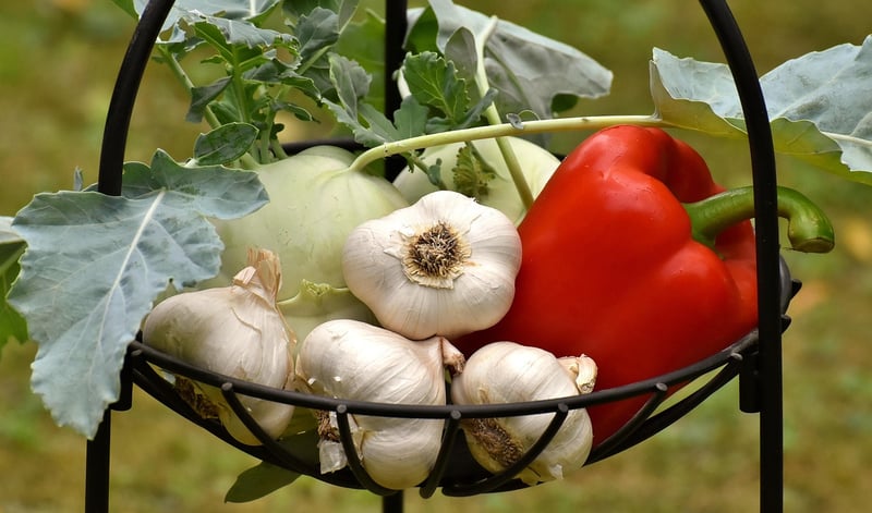 Farm Fresh Vegetables